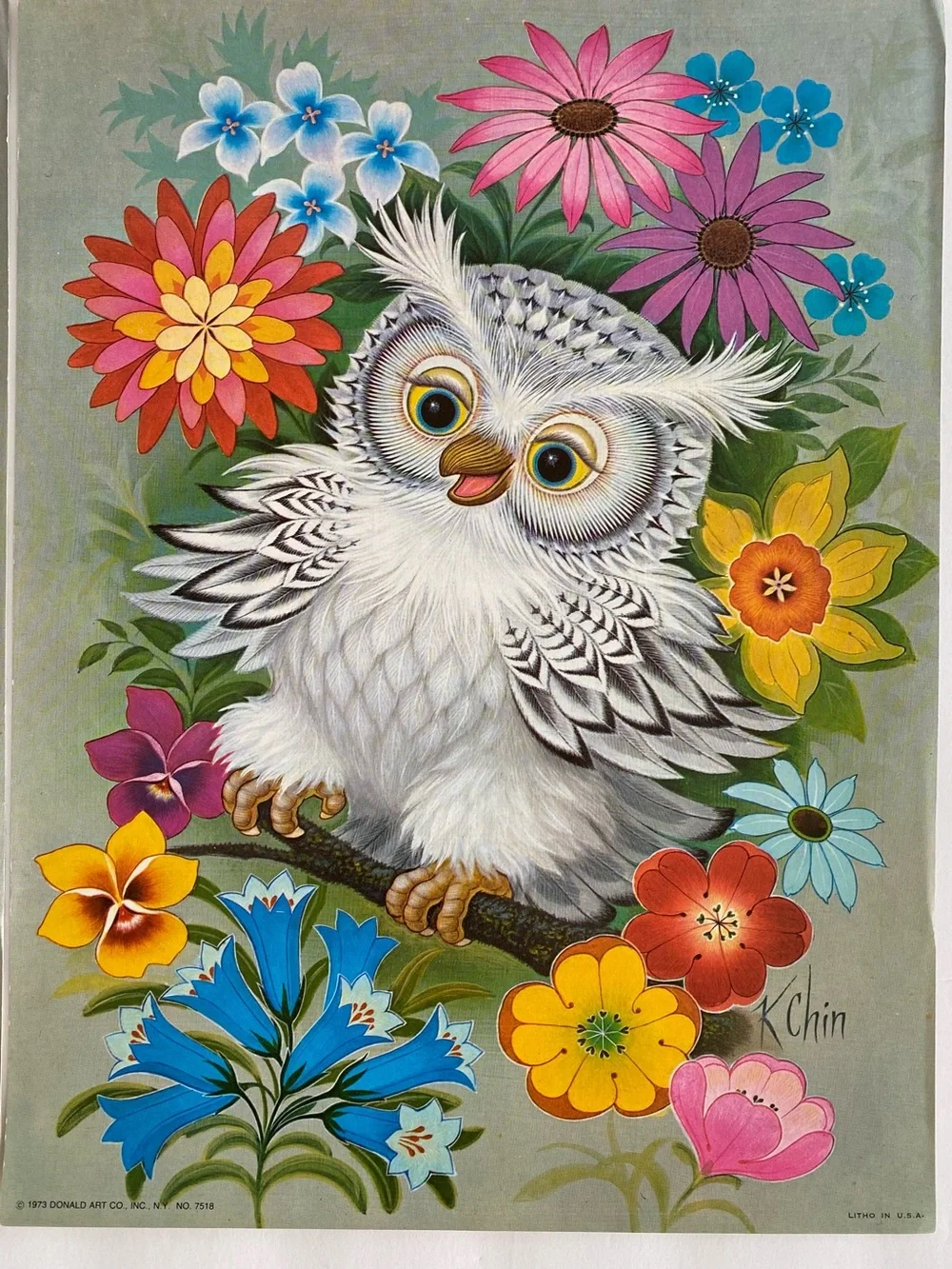 VINTAGE 1973 Owl Lithograph Set Of 4 9